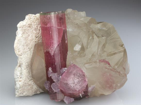 CC2706 specimen image