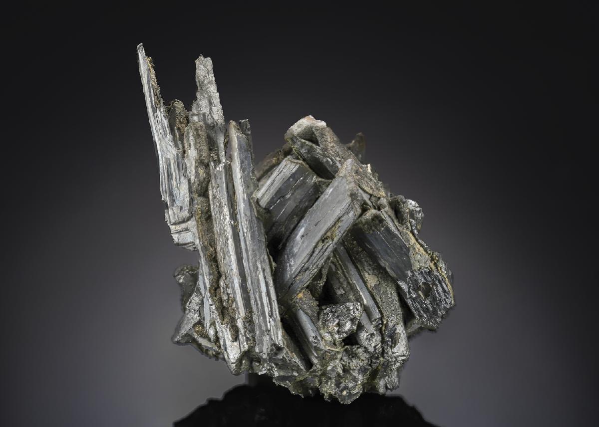 CC27107 specimen image