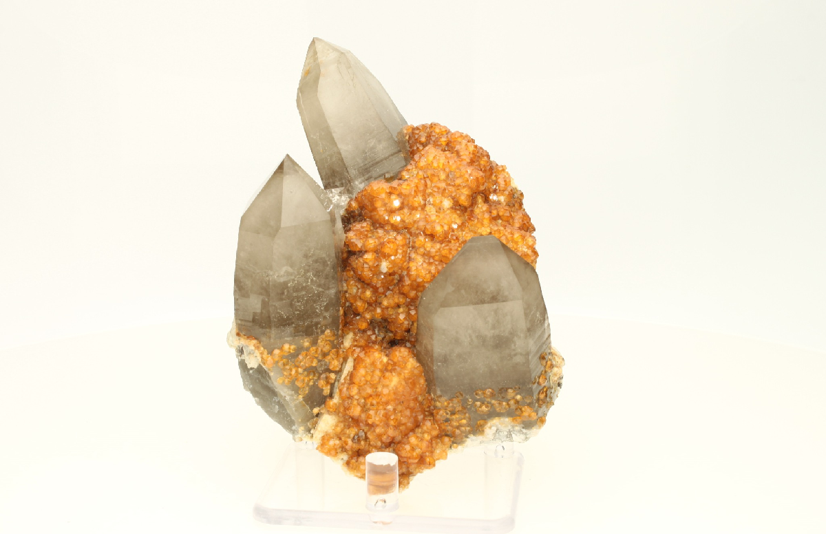 CC2712 specimen image