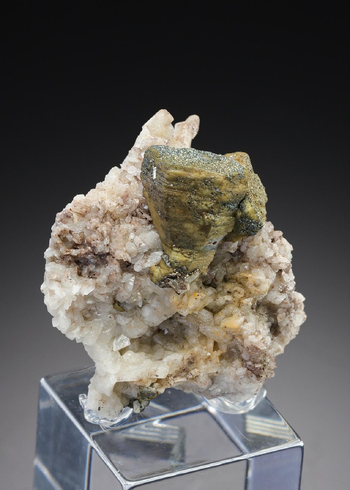 CC27409 specimen image