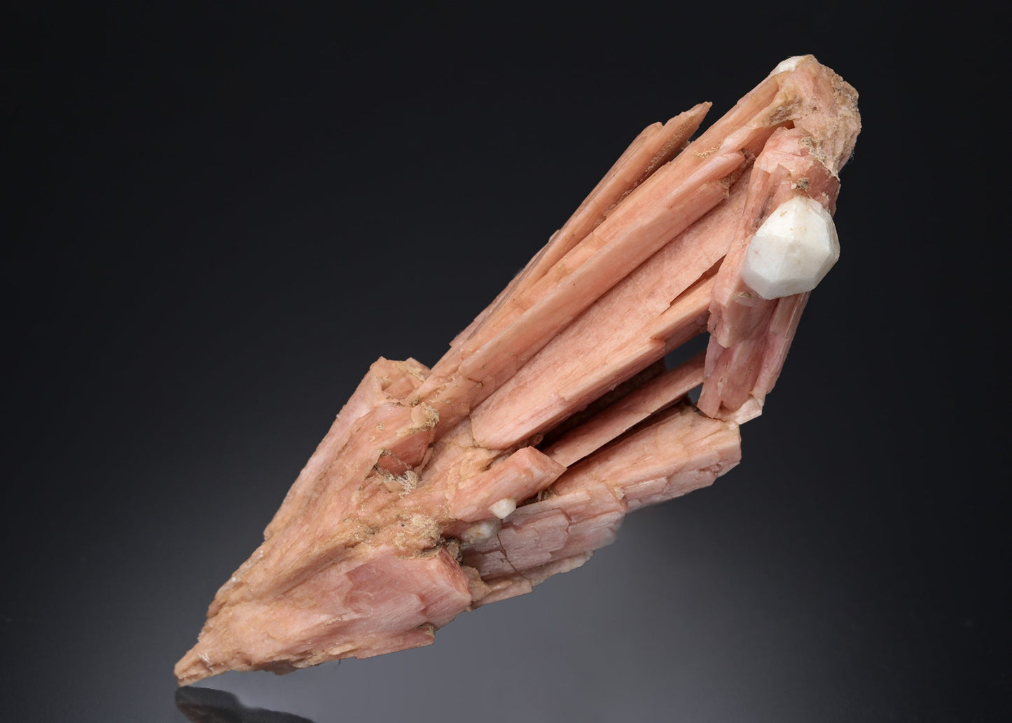 SERANDITE with ANALCIME