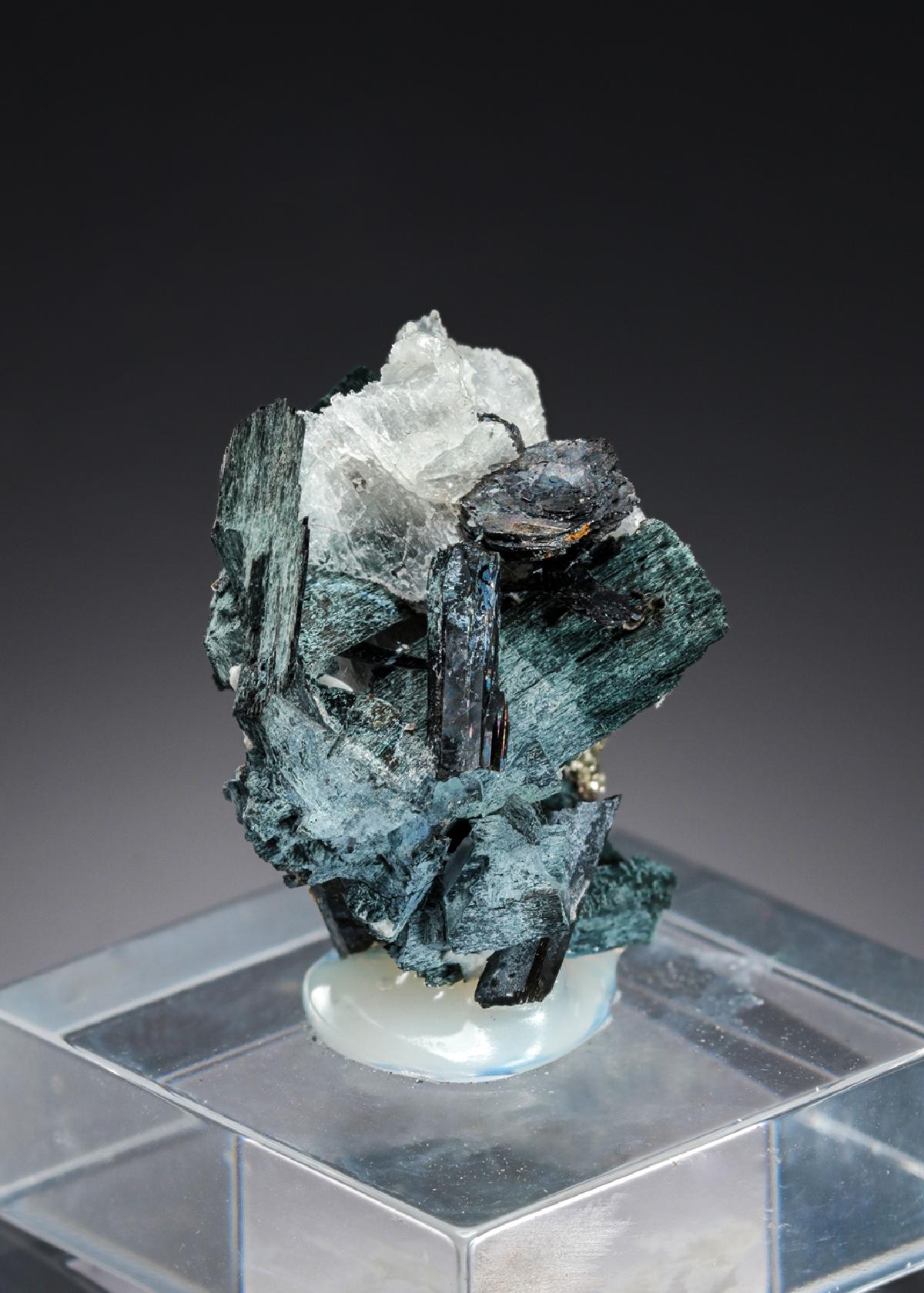 CC27689 specimen image