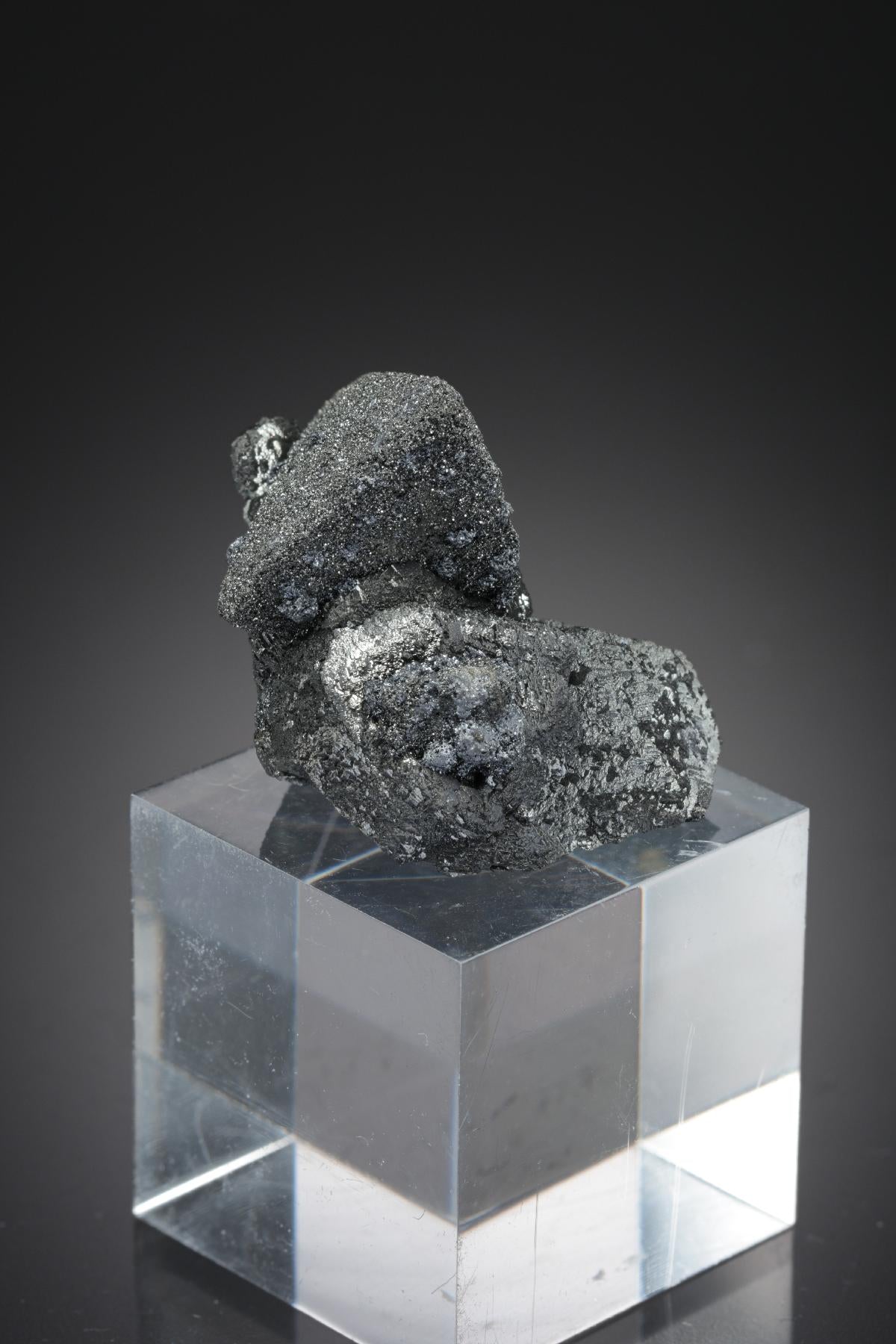 CC27693 specimen image