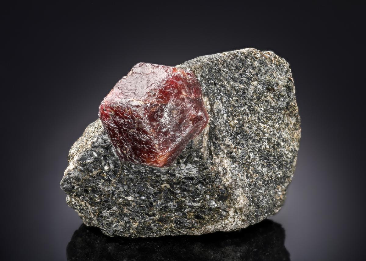CC27765 specimen image