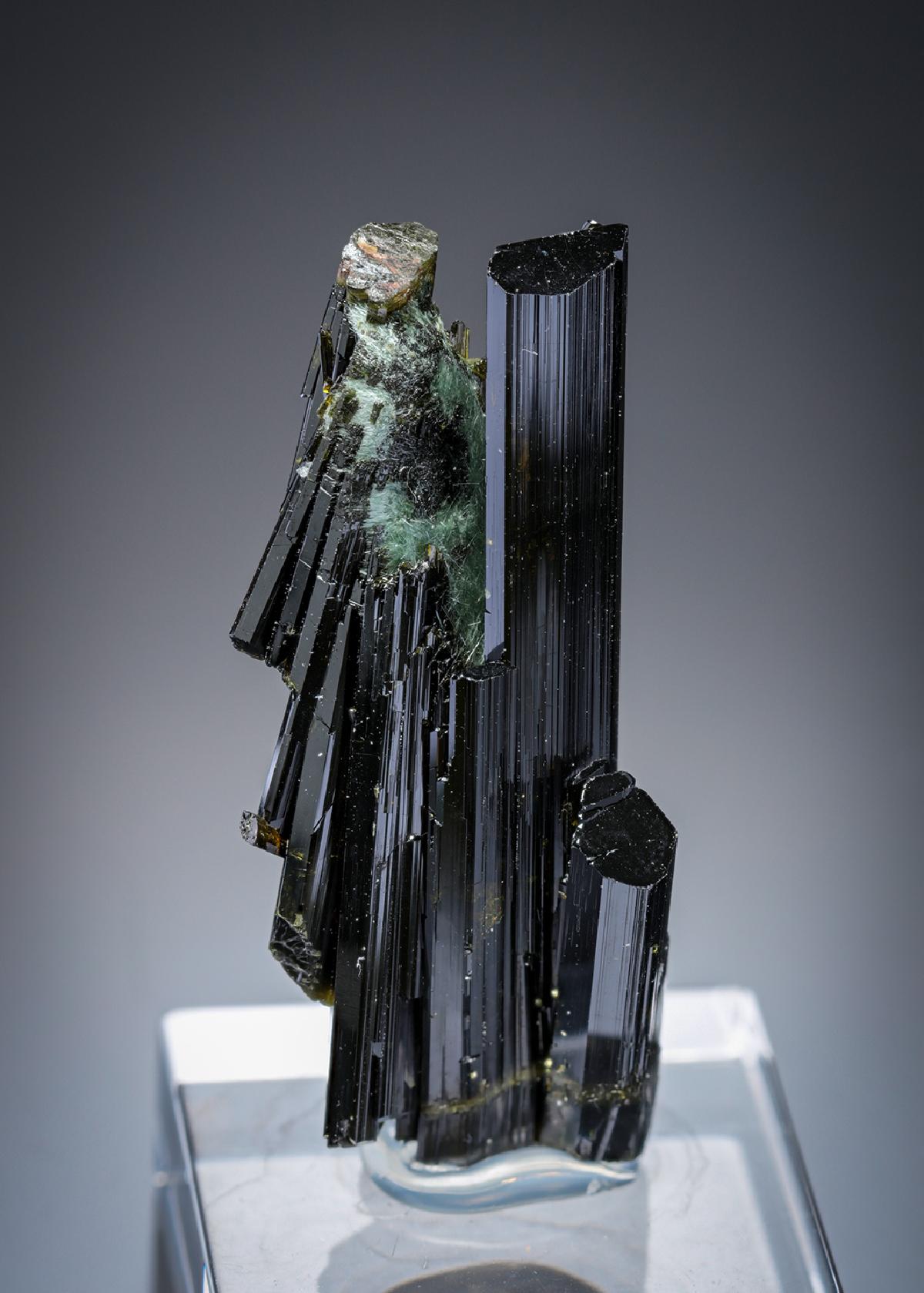 CC27931 specimen image