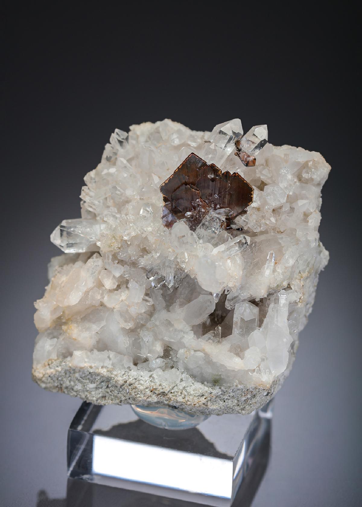 CC27943 specimen image