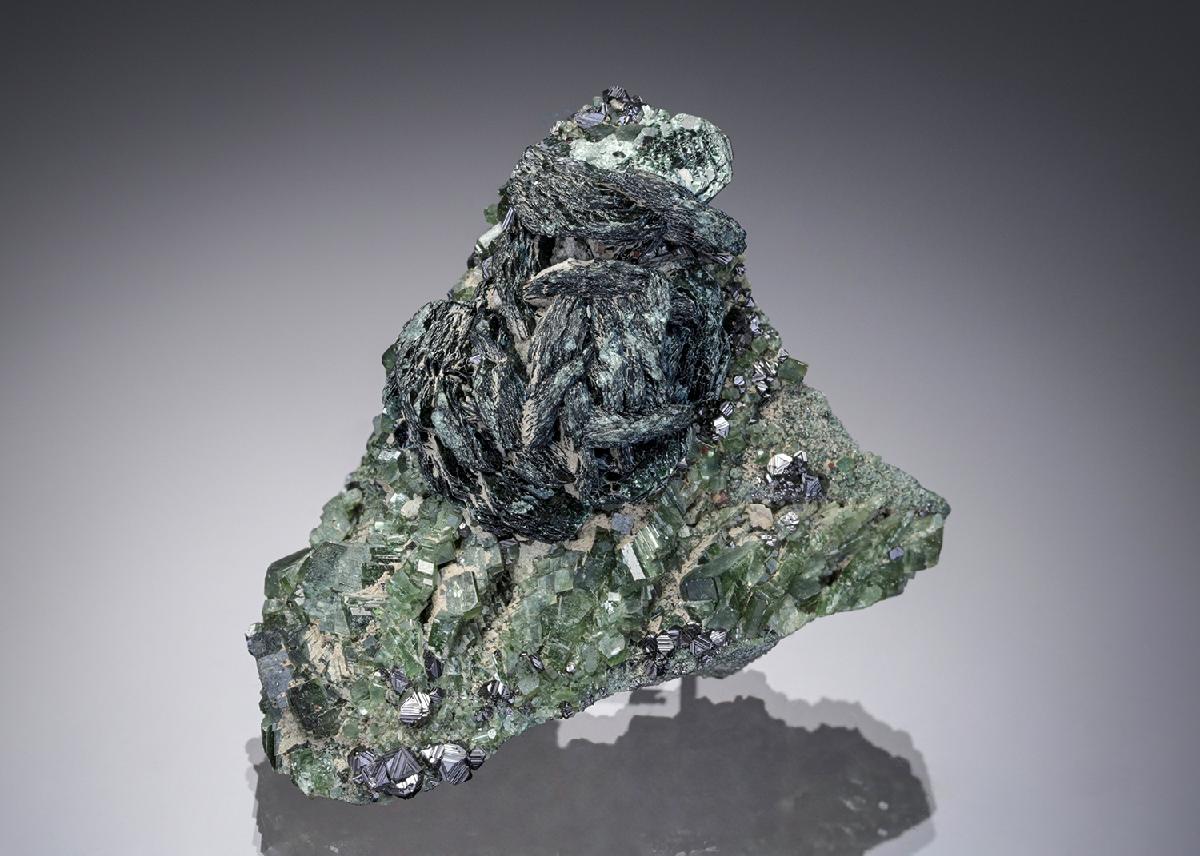 CC28157 specimen image