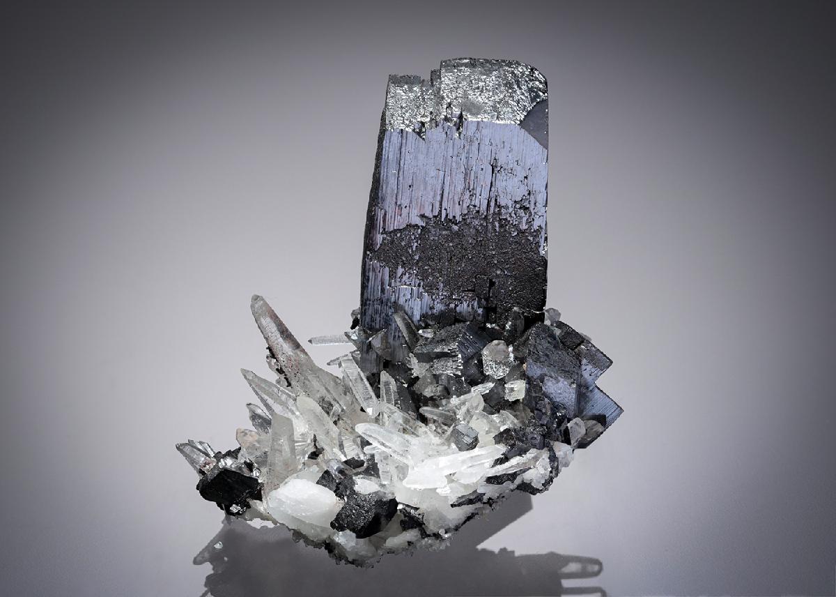 CC28327 specimen image