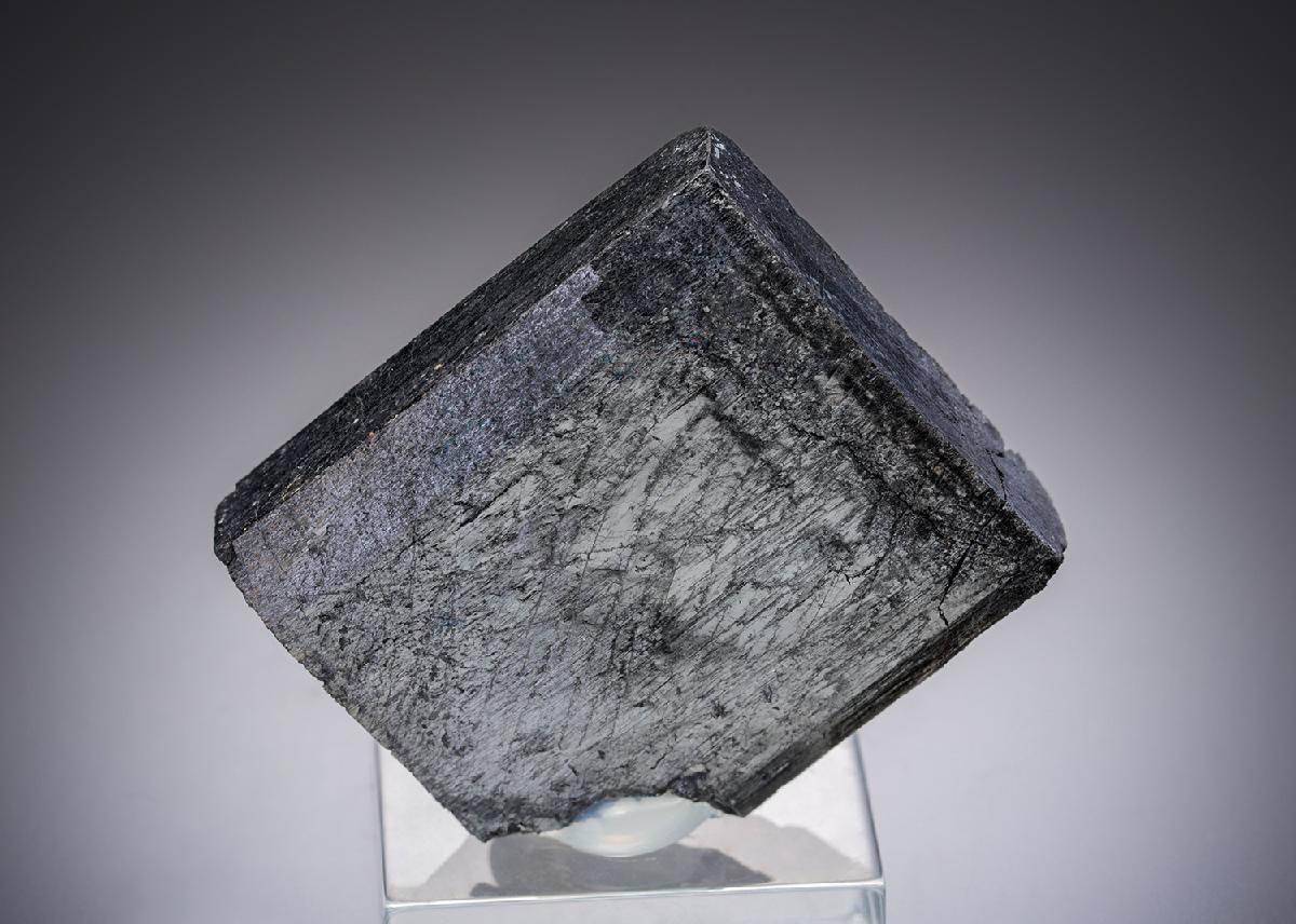 CC28459 specimen image
