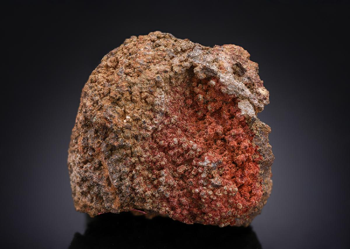 CC28569 specimen image
