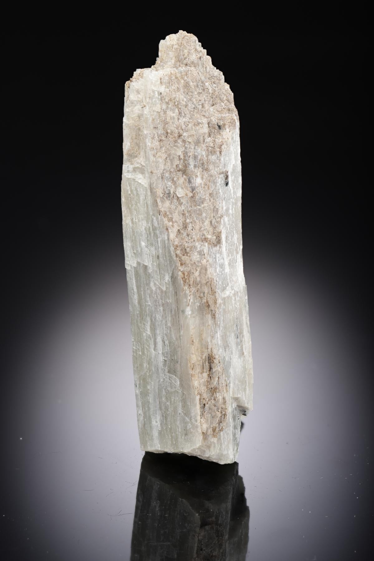 CC28739 specimen image