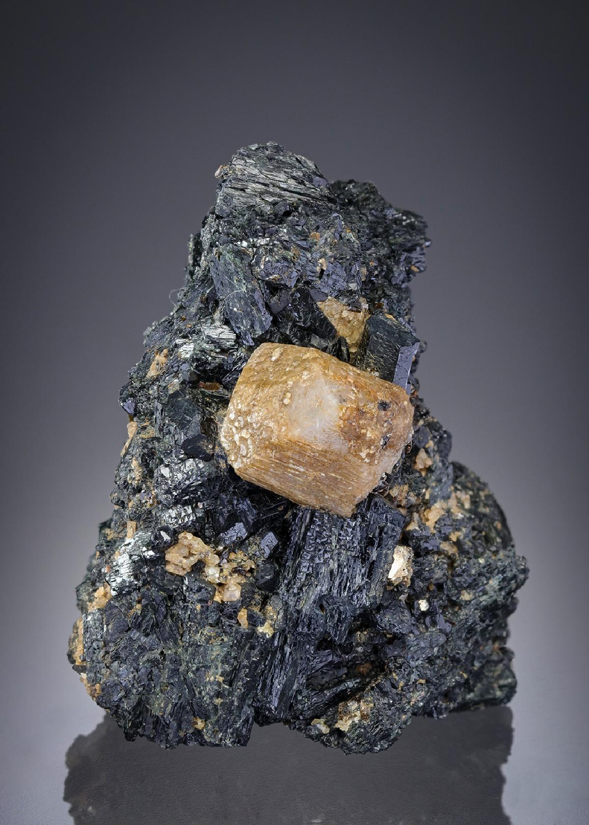 CC28809 specimen image
