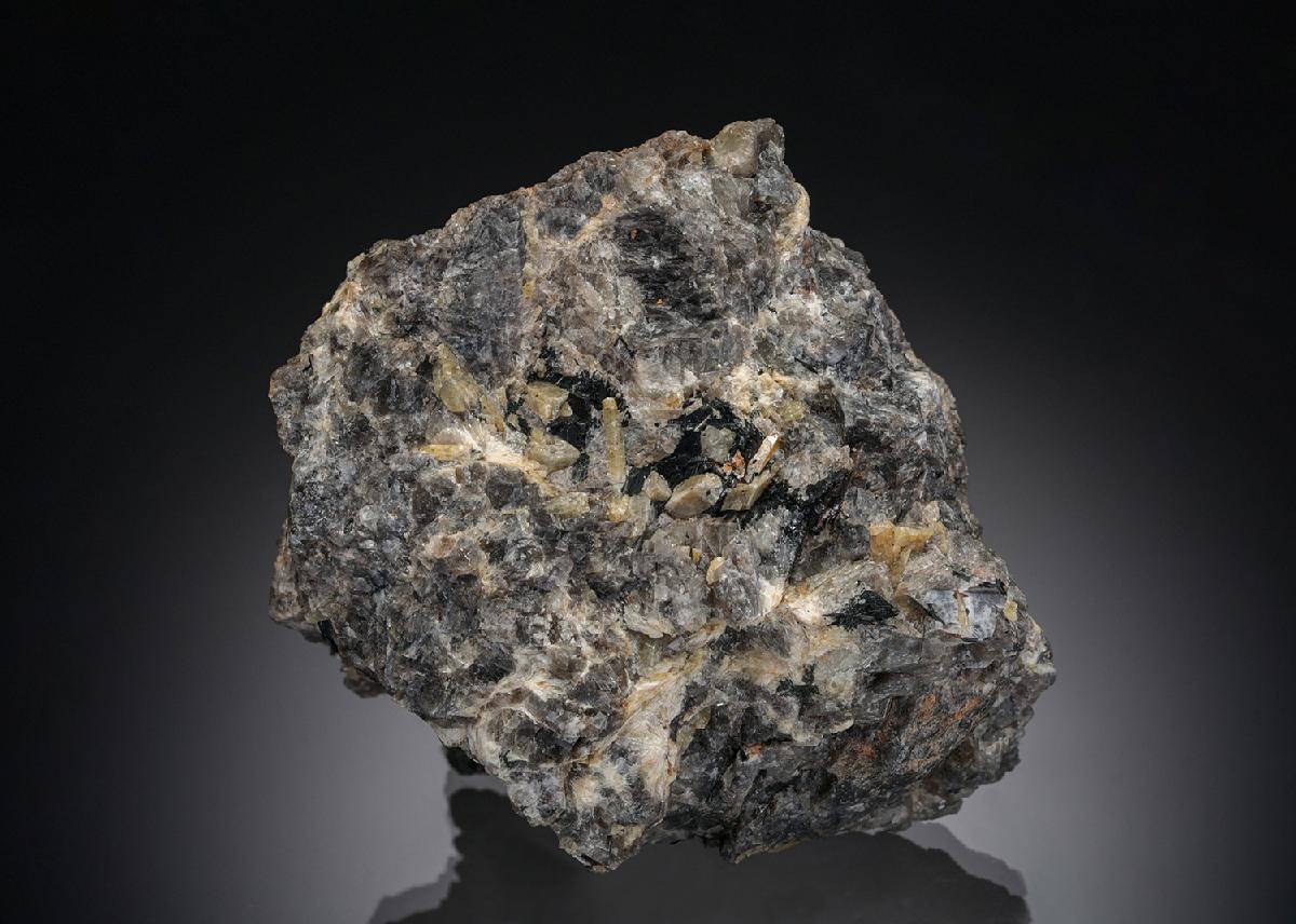 CC28823 specimen image