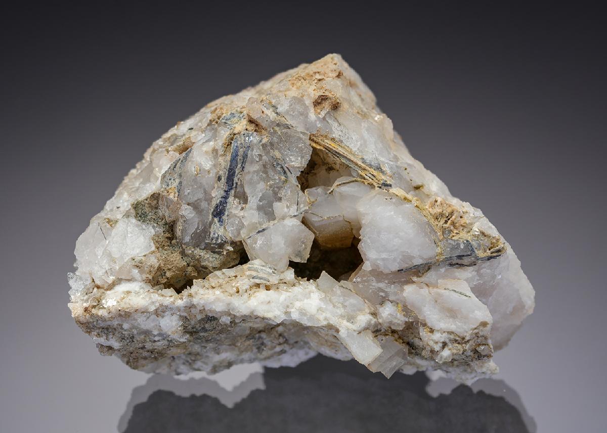 CC28847 specimen image