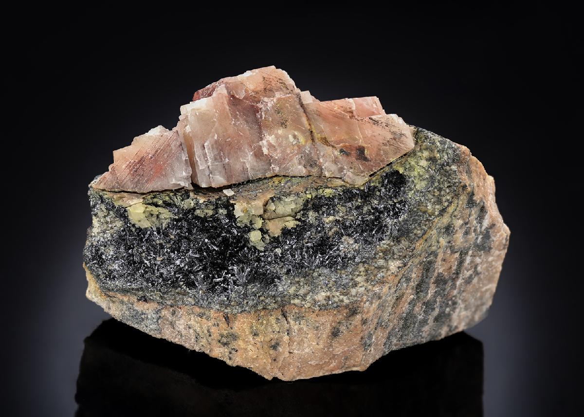 CC29277 specimen image