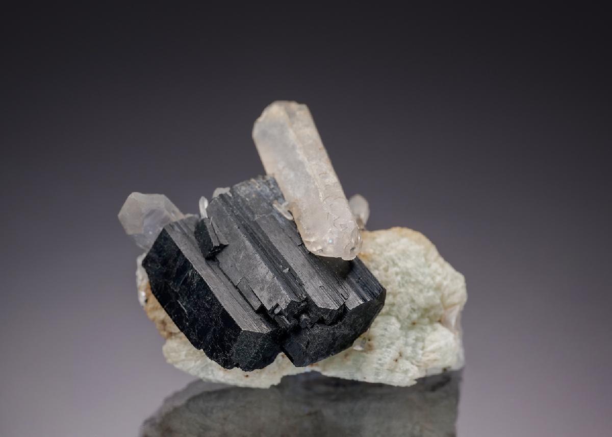 CC29345 specimen image