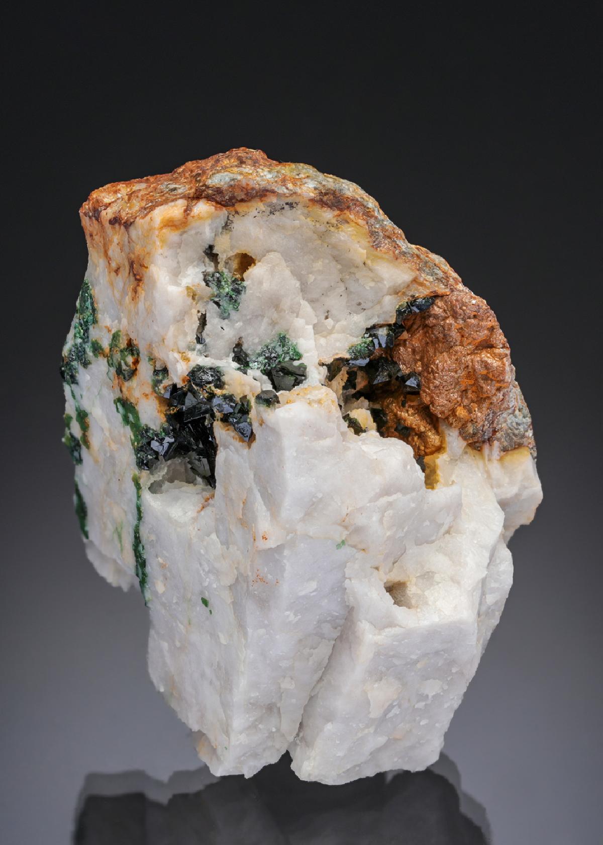 CC29461 specimen image