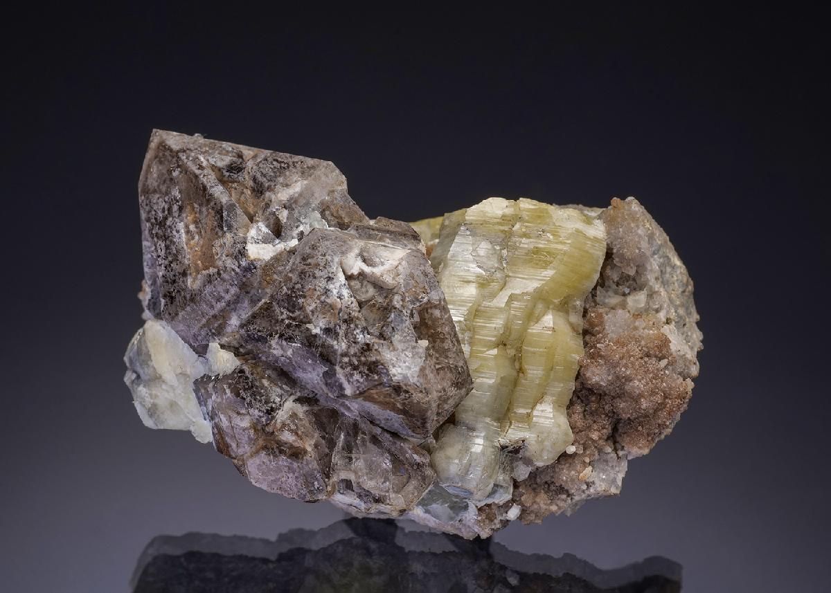 CC29465 specimen image