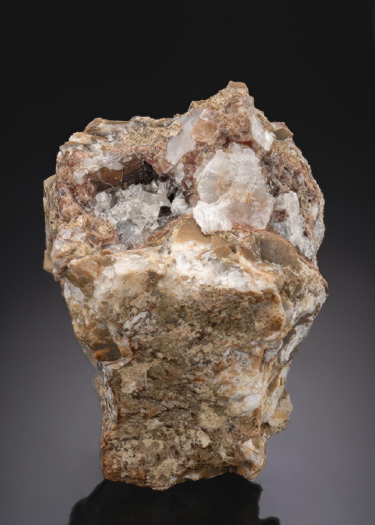 CC29809 specimen image