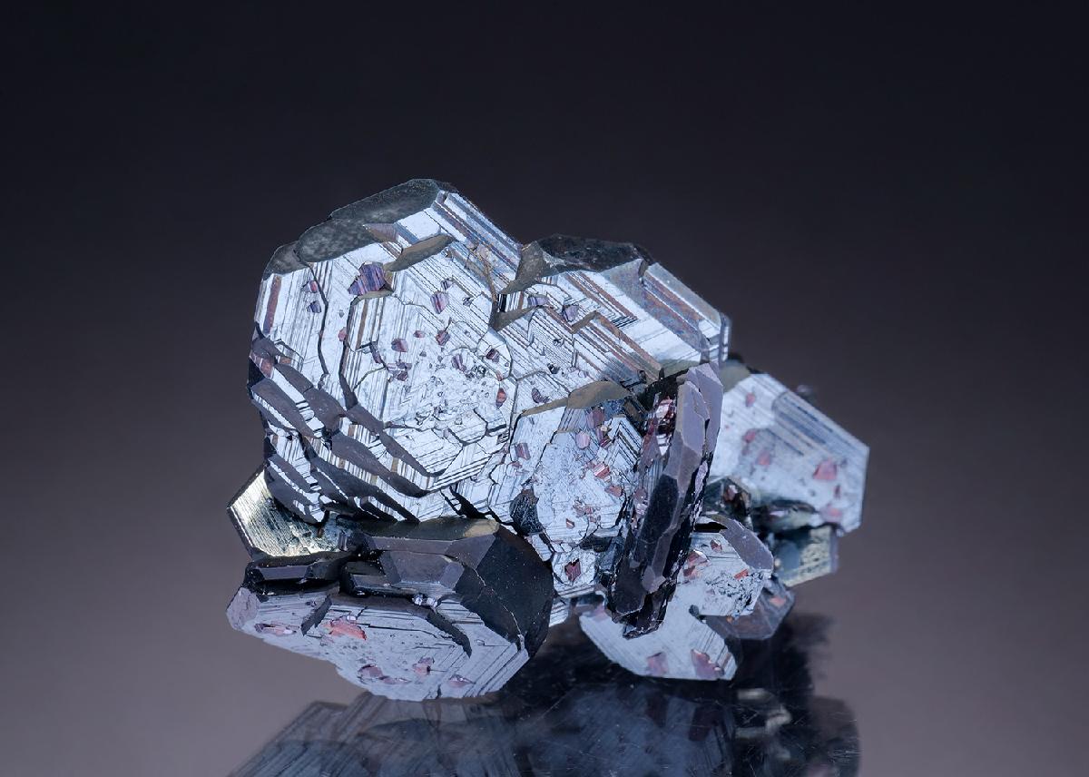 CC29989 specimen image