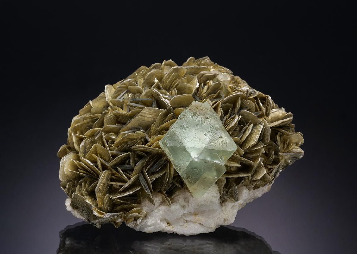 CC30059 specimen image