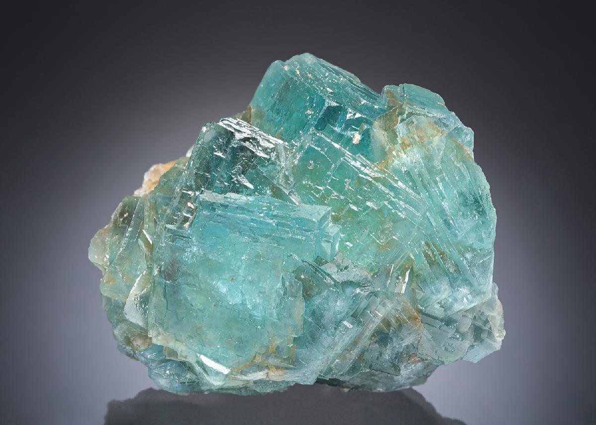 CC30065 specimen image