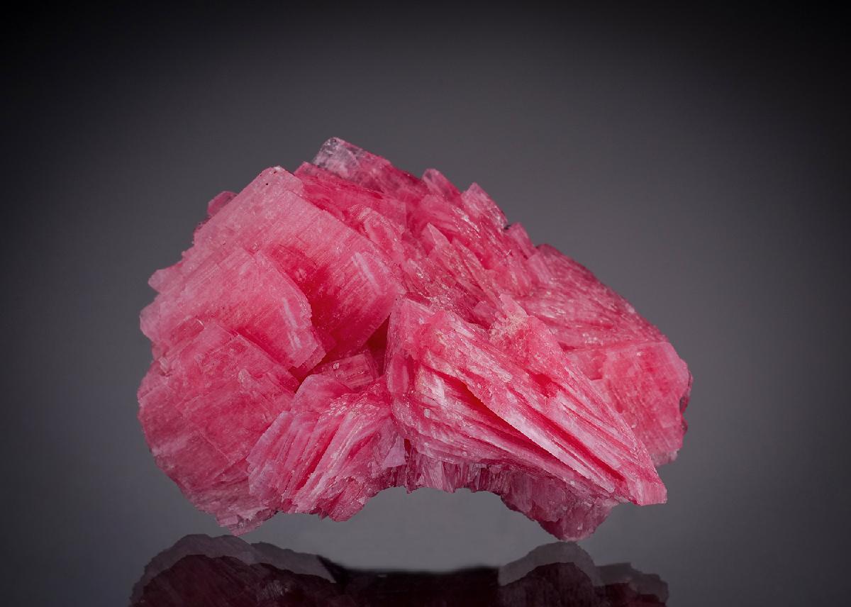 CC30081 specimen image
