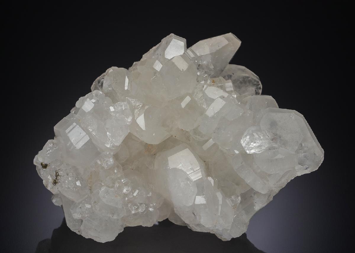 CC30285 specimen image
