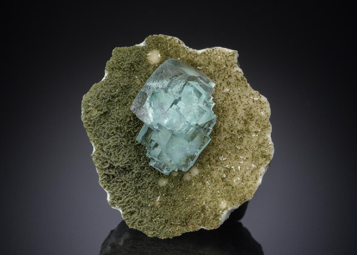 CC30439 specimen image