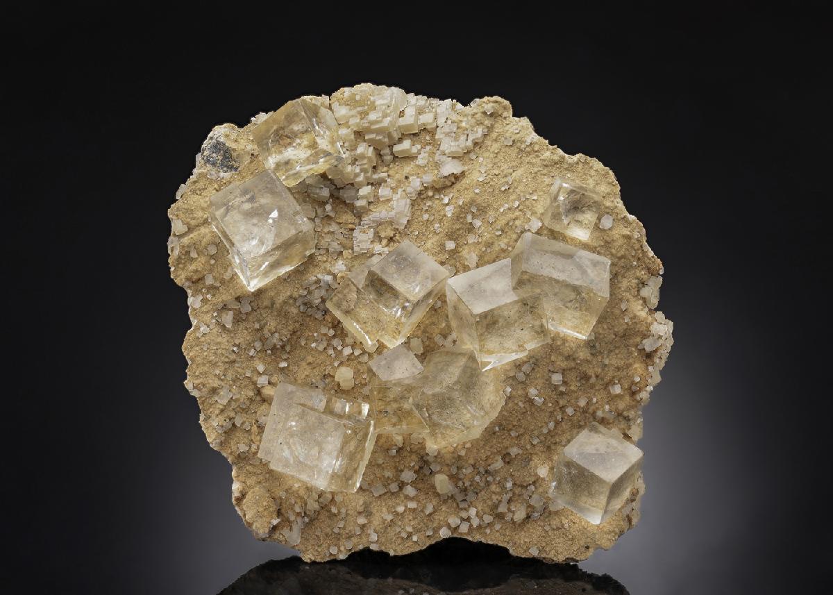 CC30445 specimen image