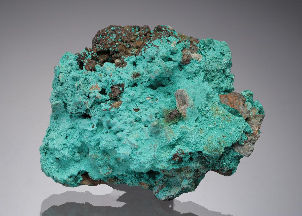 CC31447 specimen image