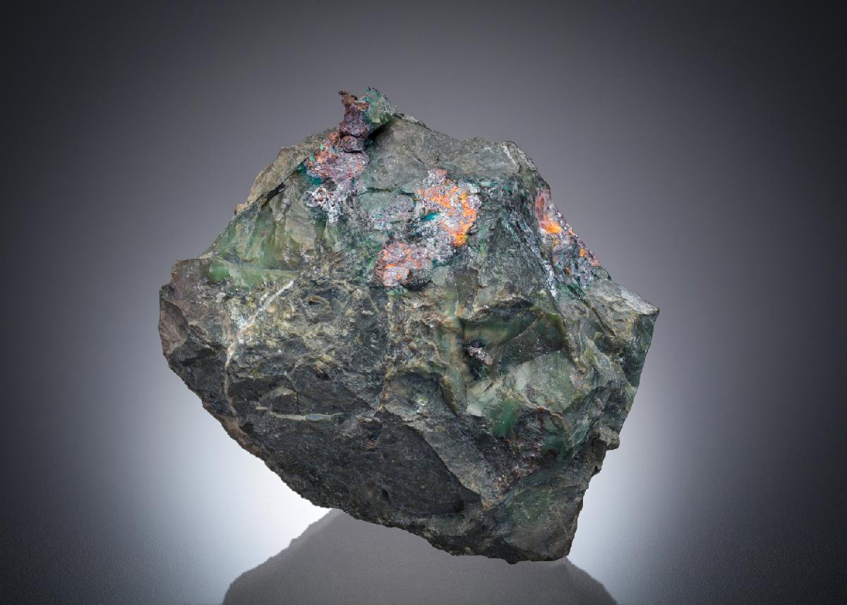 CC31762 specimen image