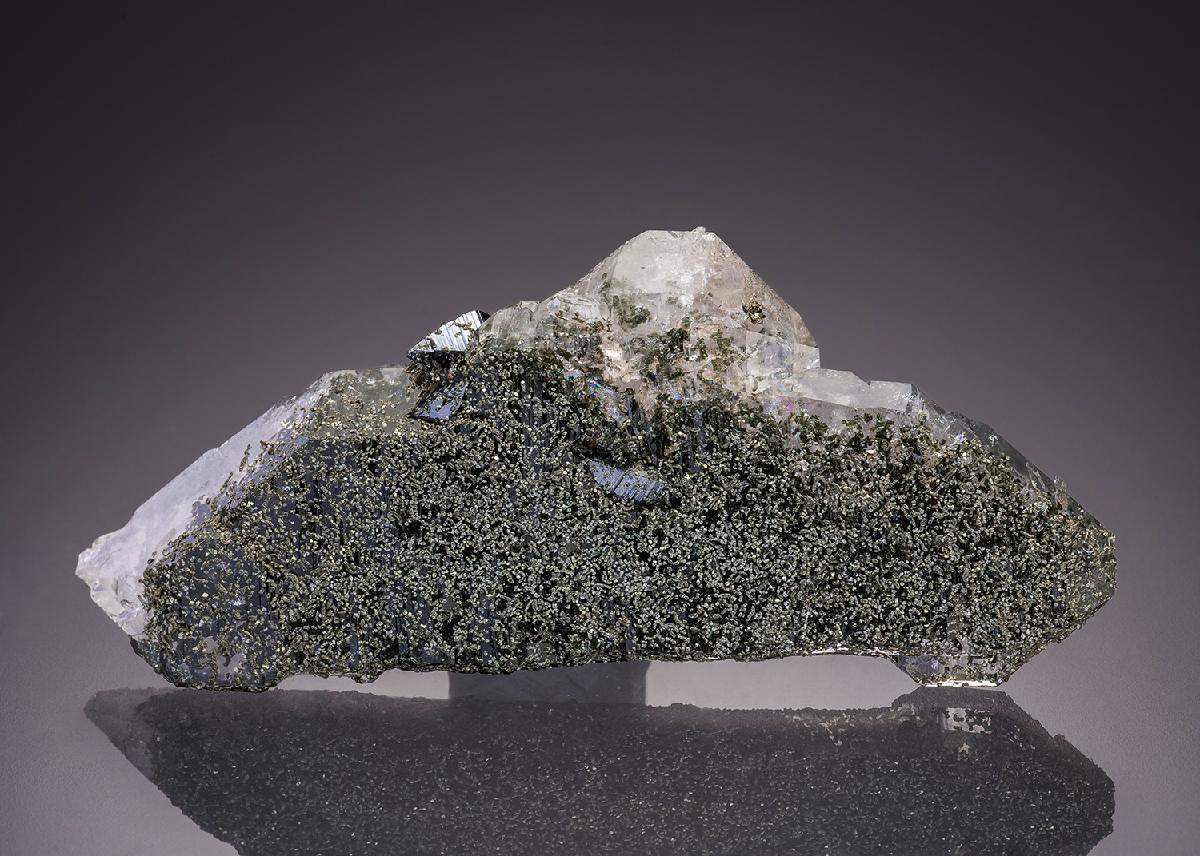 CC31795 specimen image
