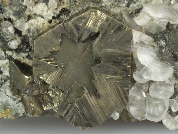 CC3183 specimen image