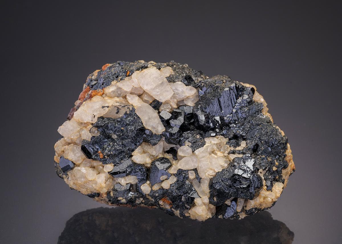 CC31837 specimen image
