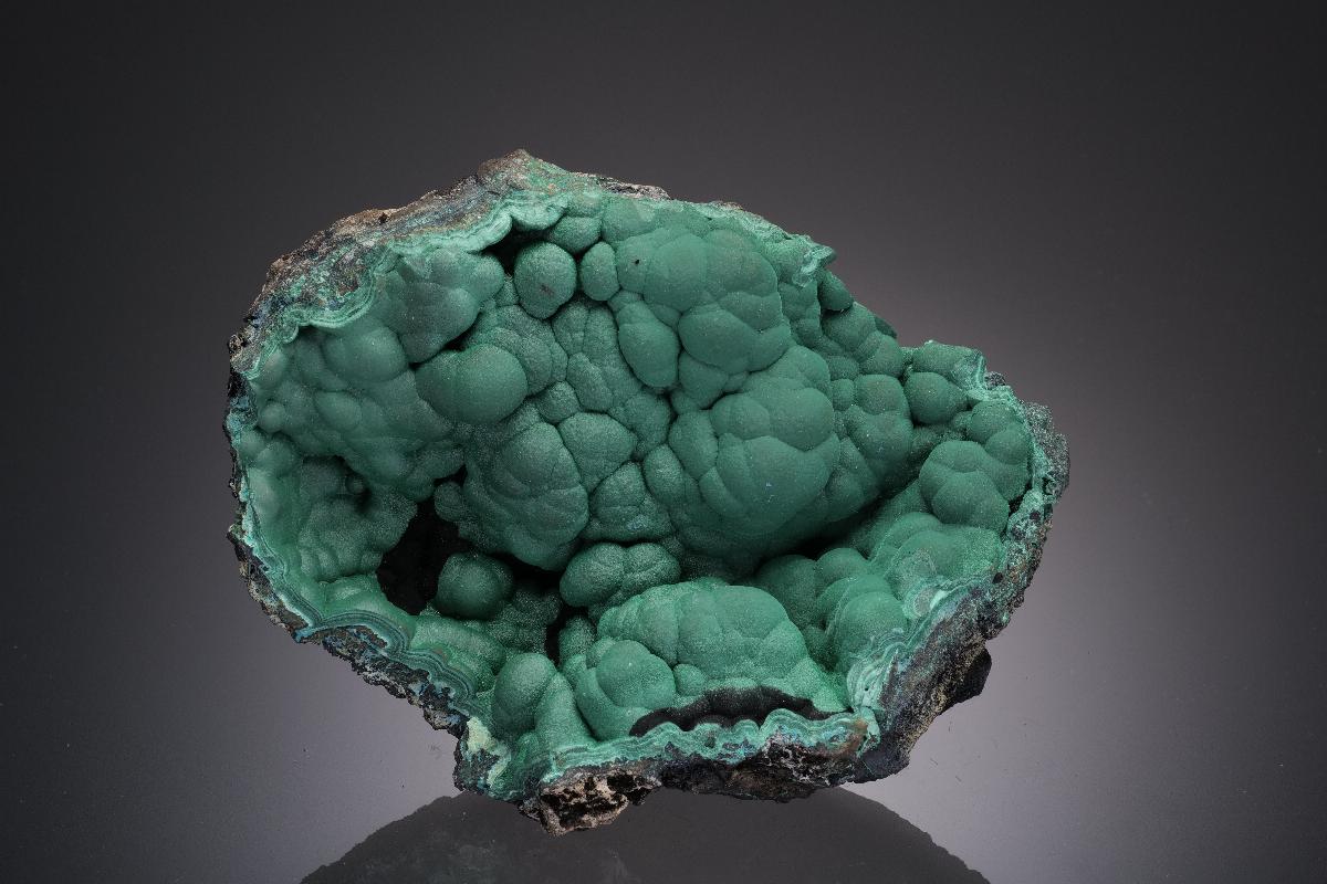 CC31864 specimen image
