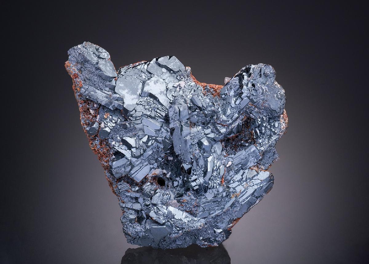CC31915 specimen image