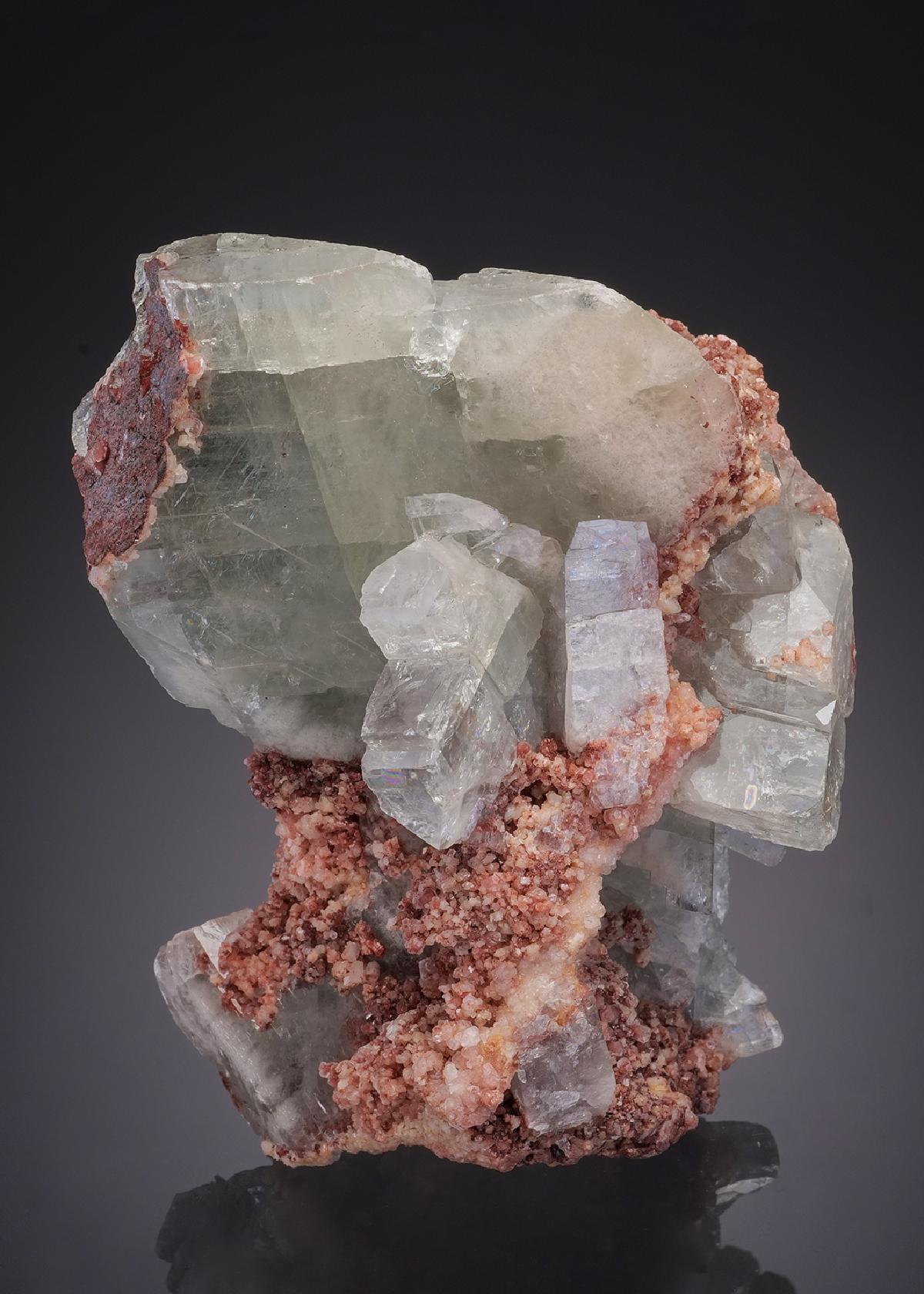 CC31918 specimen image