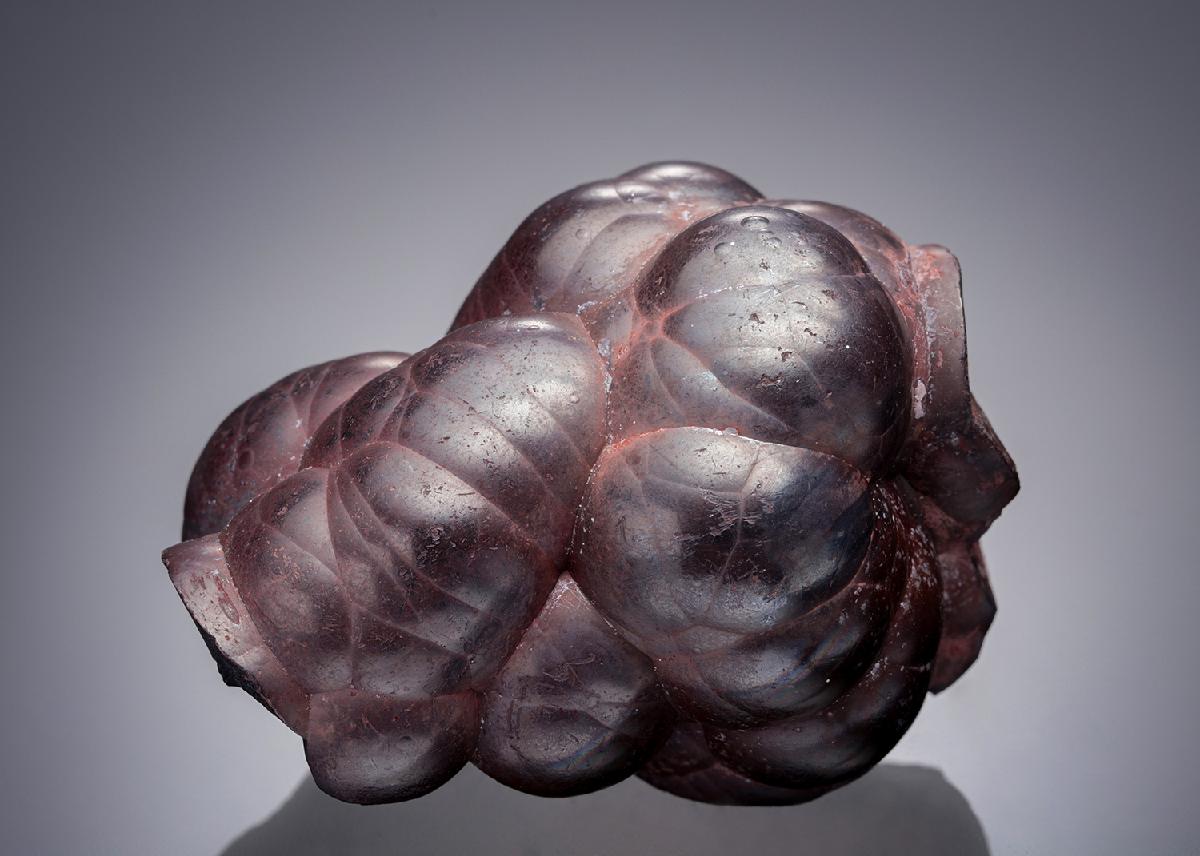 CC31930 specimen image