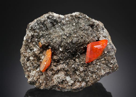 CC3201 specimen image