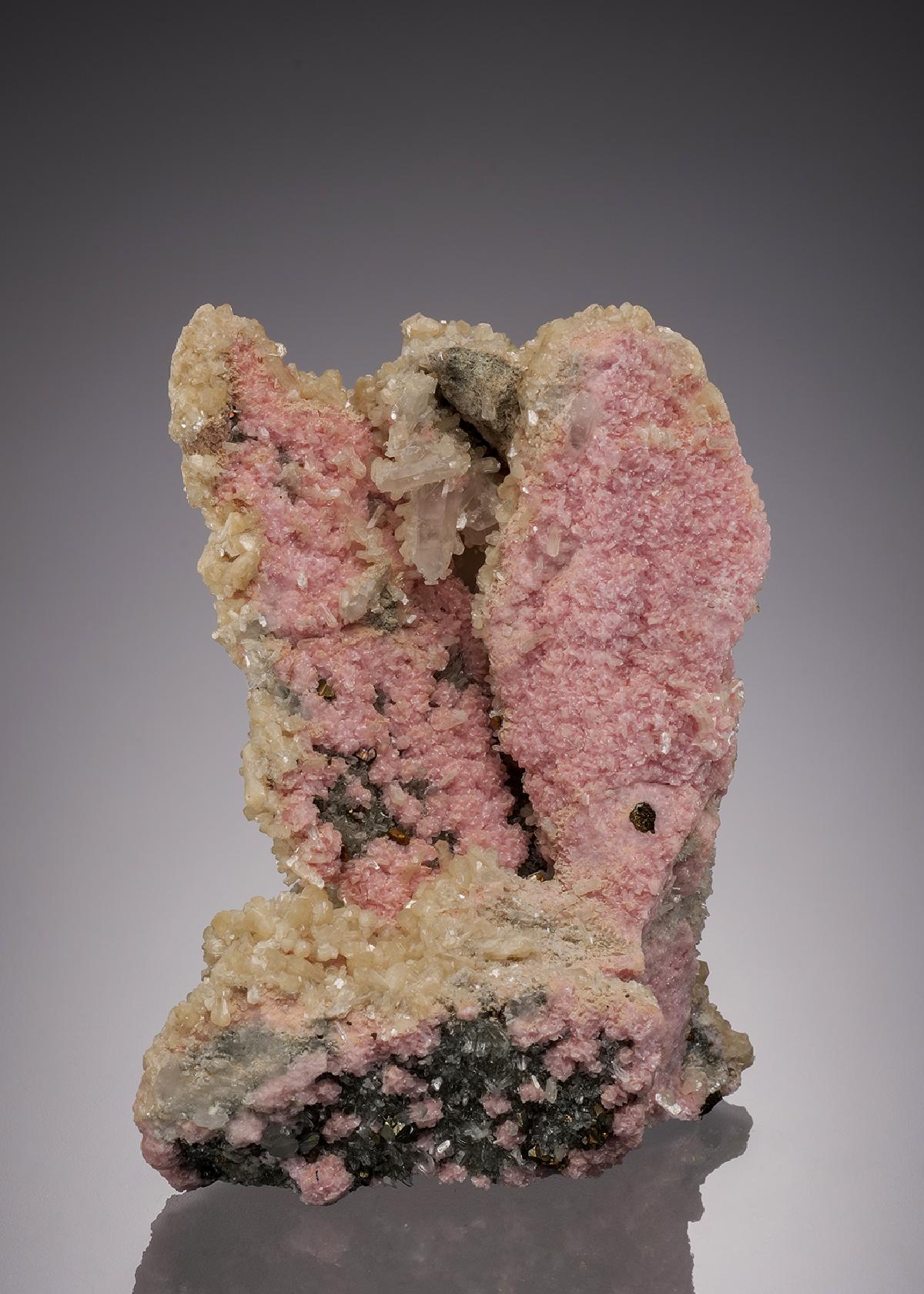 CC32116 specimen image