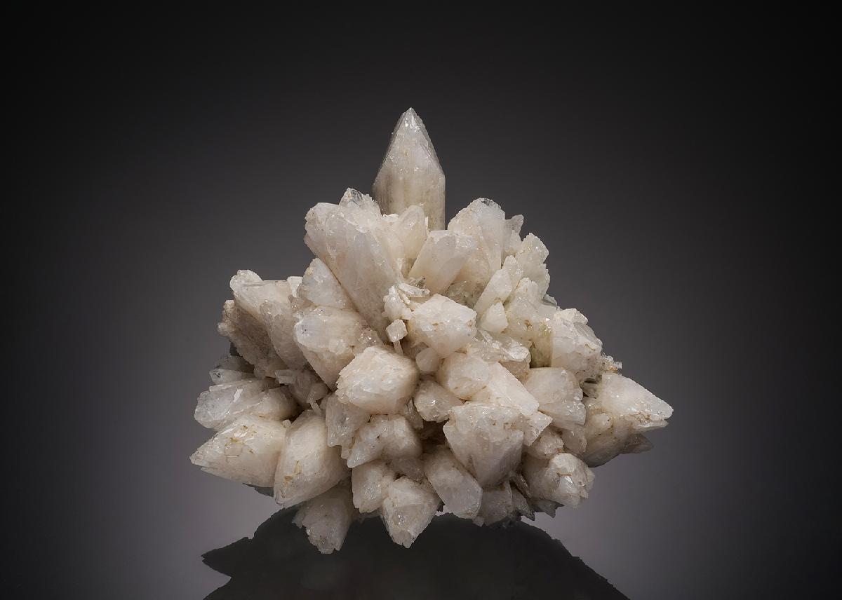 CC32218 specimen image