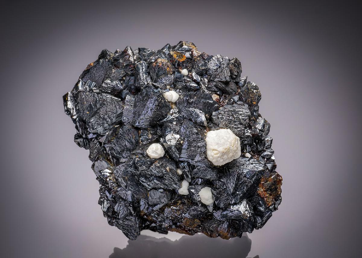 CC32278 specimen image
