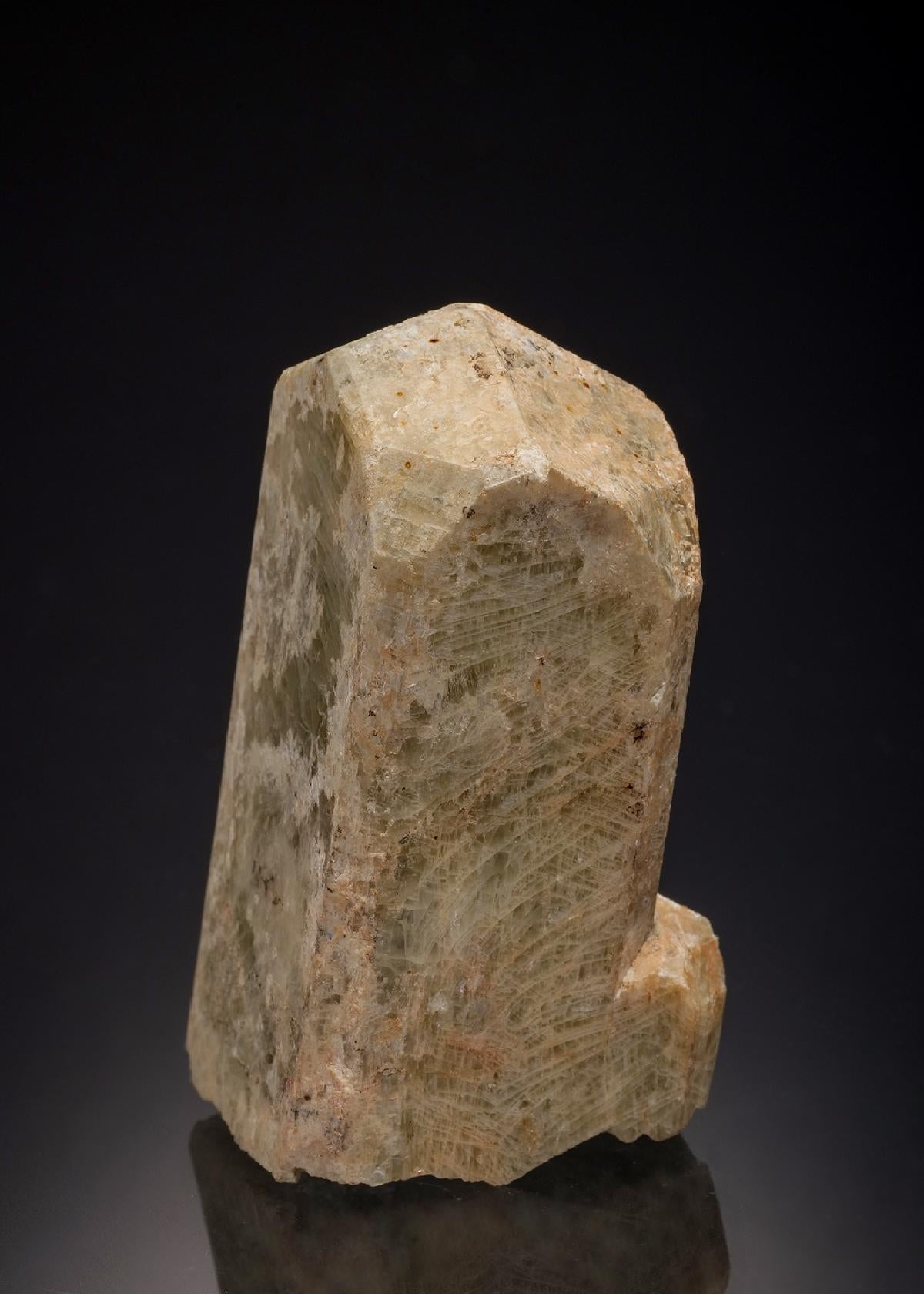 CC32392 specimen image