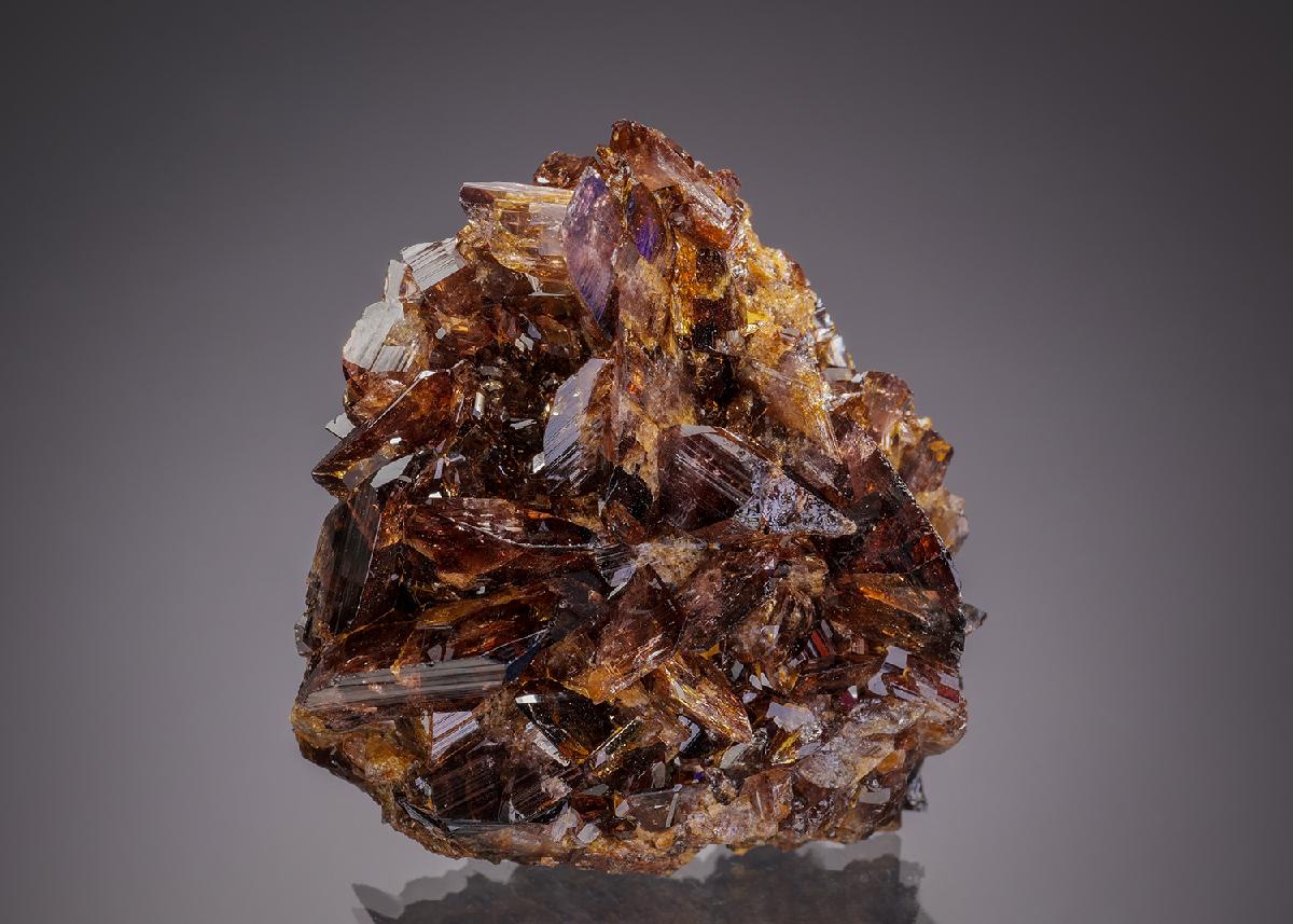 CC32428 specimen image