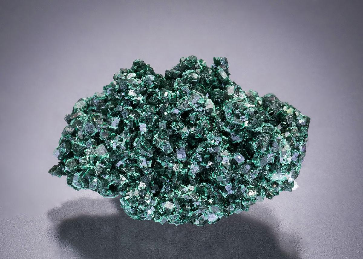 CC32548 specimen image