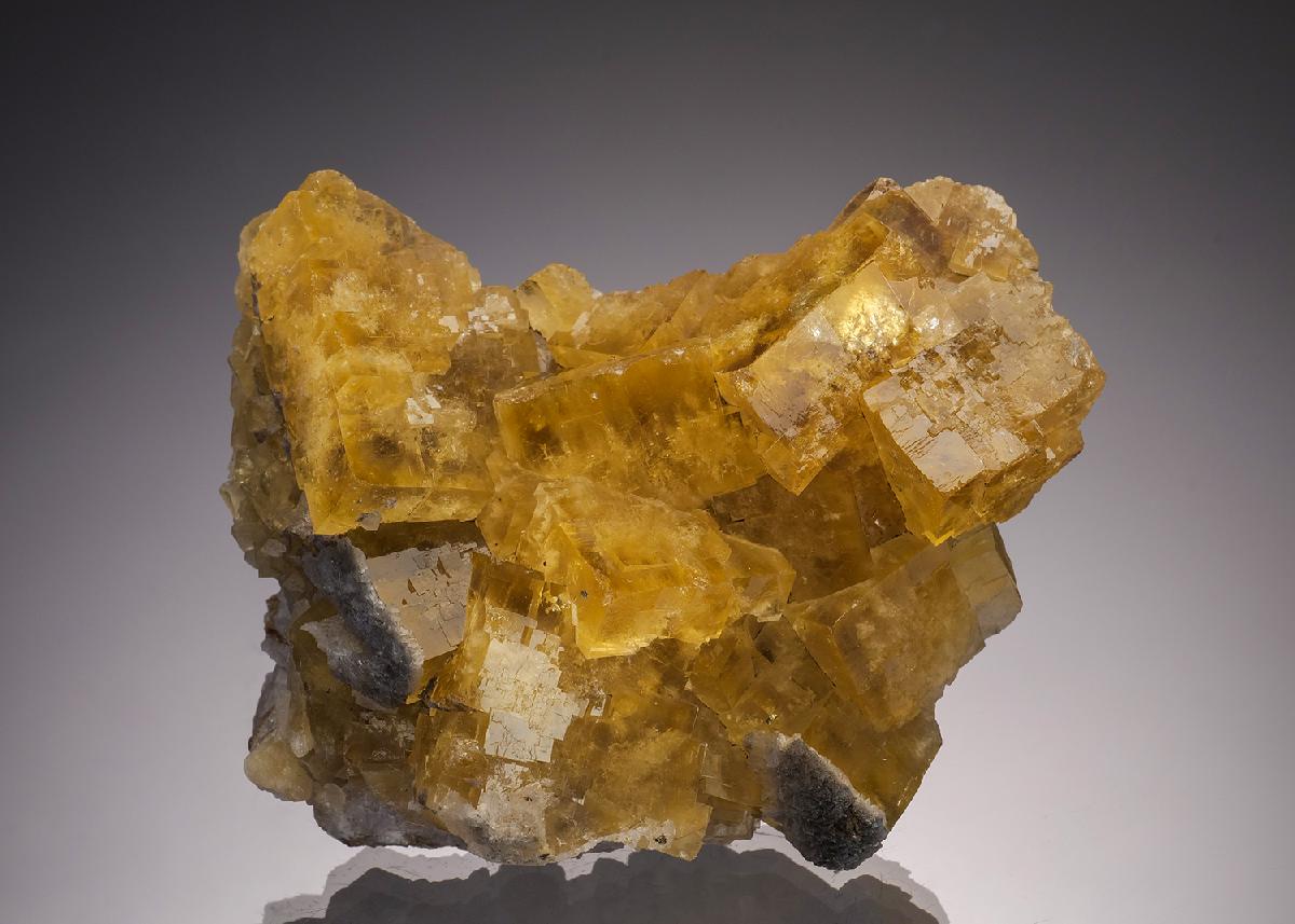 CC32725 specimen image