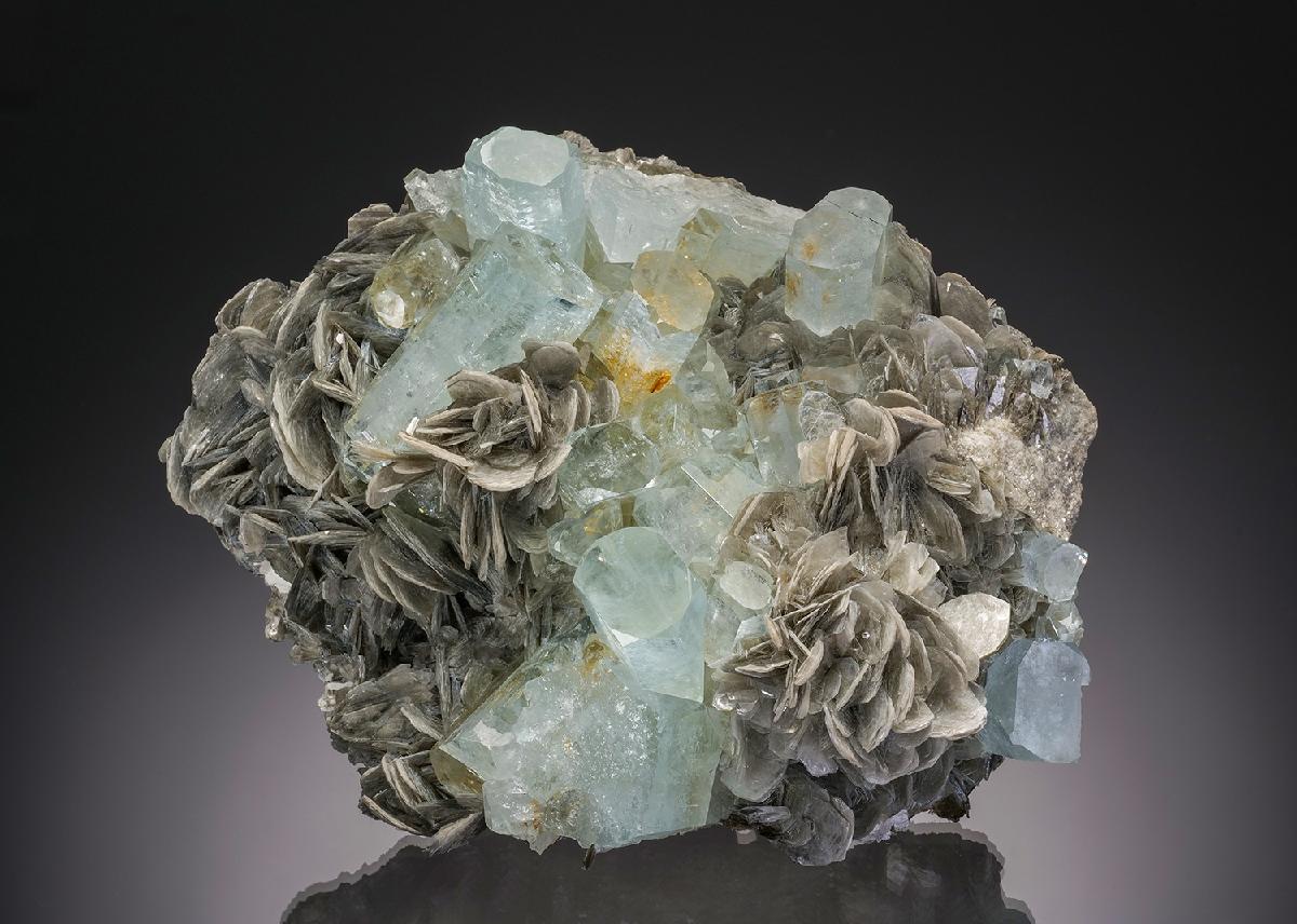 CC32836 specimen image