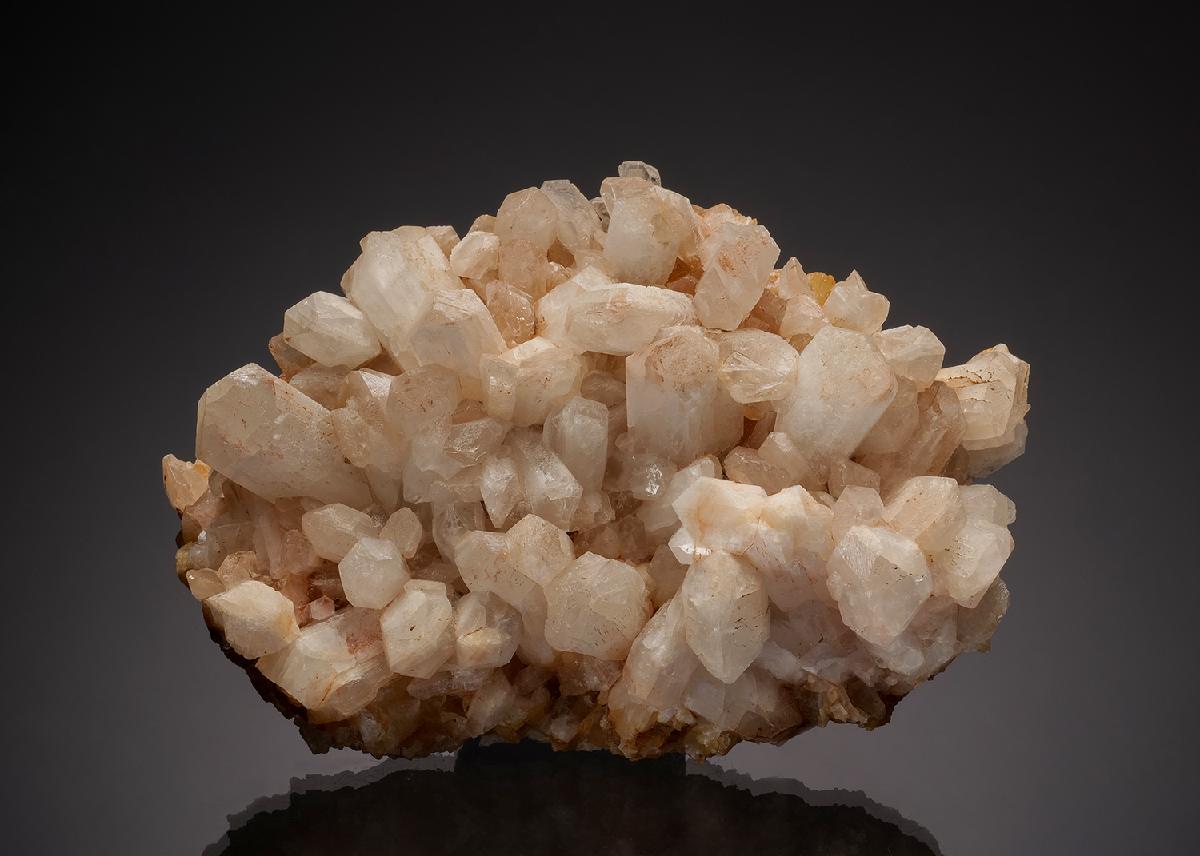CC32881 specimen image