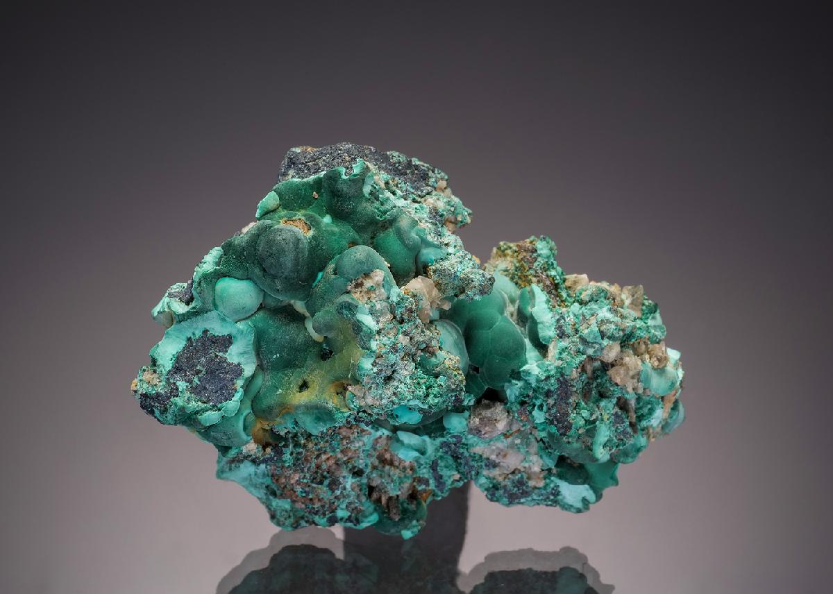 CC32938 specimen image